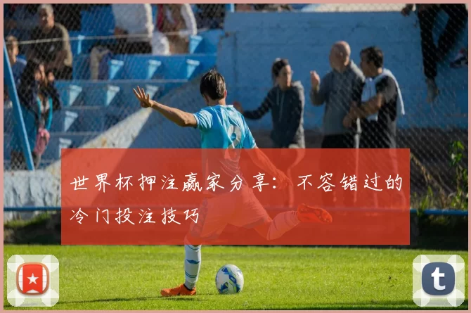 世界杯押注赢家分享：不容错过的冷门投注技巧