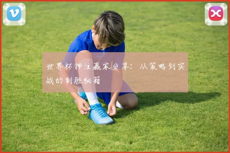 世界杯押注赢家分享:从策略到实战的制胜秘籍