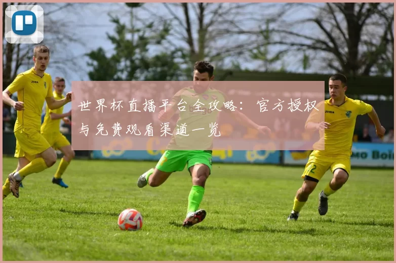 世界杯直播平台全攻略:官方授权与免费观看渠道一览