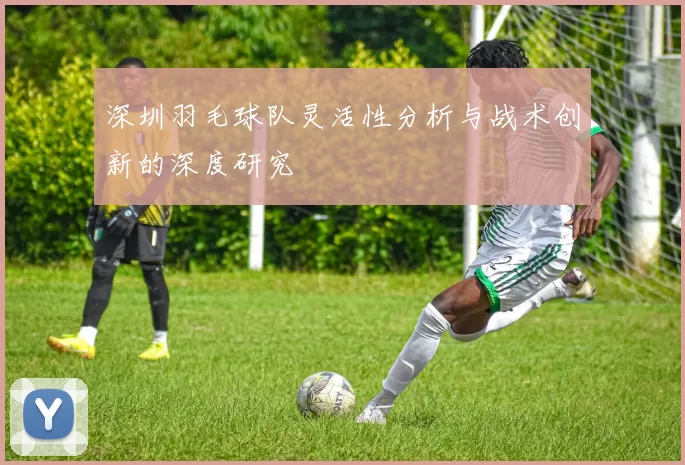 深圳羽毛球队灵活性分析与战术创新的深度研究