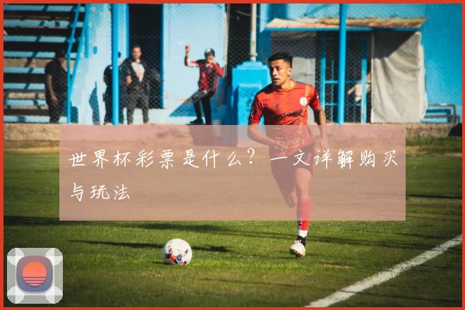 世界杯彩票是什么?一文详解购买与玩法