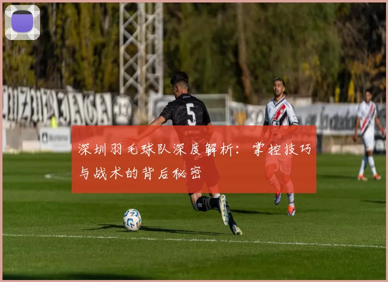 深圳羽毛球队深度解析:掌控技巧与战术的背后秘密