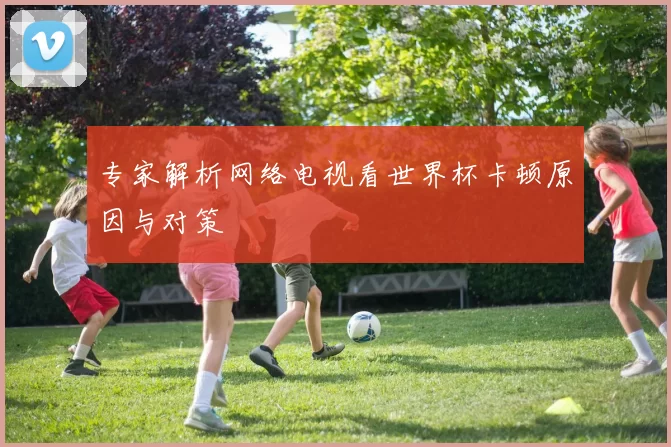 专家解析网络电视看世界杯卡顿原因与对策