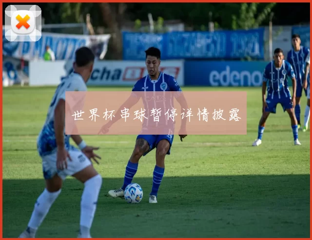 世界杯串球暂停详情披露