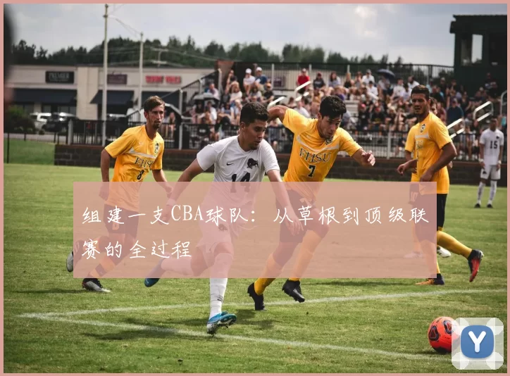 组建一支CBA球队:从草根到顶级联赛的全过程